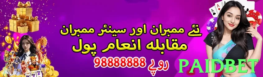 paidbet game app for Pakistan players - 3